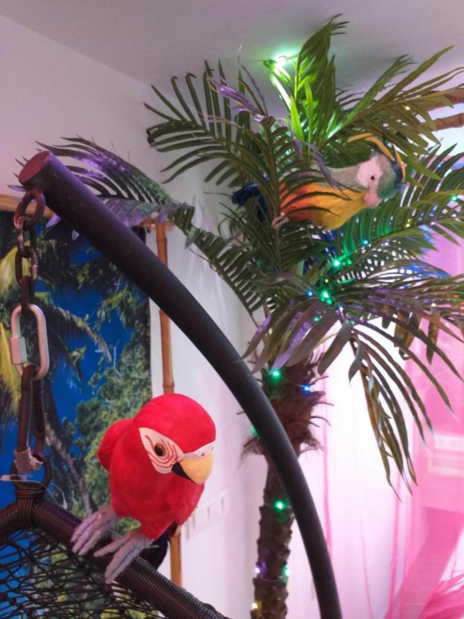 Wonder Paradisio Studio ネルハ エクステリア 写真